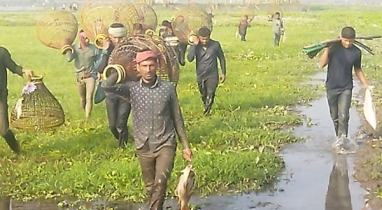 কিশোরগঞ্জের ঐতিহ্যবাহী ভাস্করখিলা বিলে মাছ ধরা উৎসব অনুষ্ঠিত